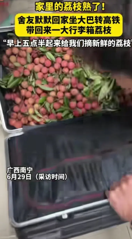 6月28日，广西南宁。只因同学随口说一句想吃荔枝，舍友早上五点半起床回家坐大巴转