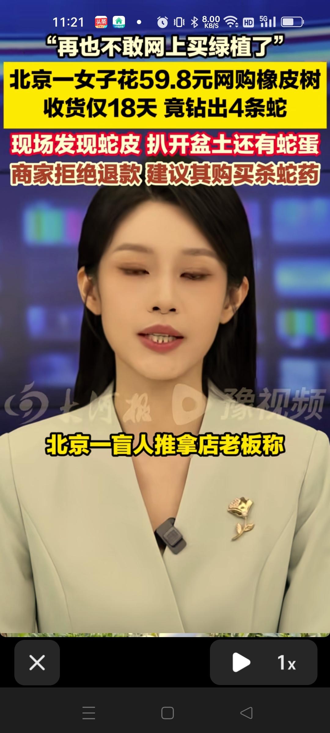 太吓人了。网购的绿植士里陆续钻出了许多小蛇。北京一按摩店老板为了装点门面，在