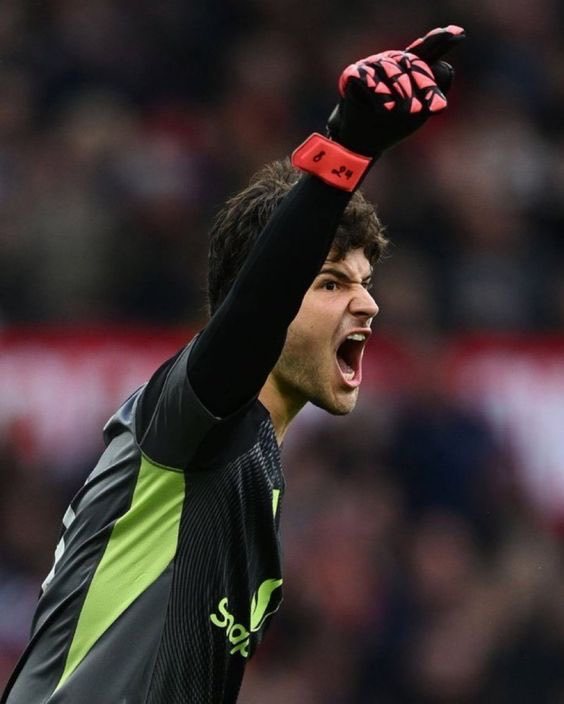 舒梅切尔23岁的阿利松在巴西国际，23岁的拉亚在布莱克本流浪者。而23岁的拉门斯