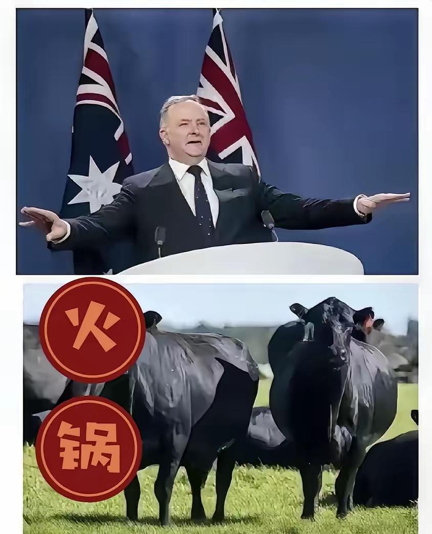 澳大利亚在处理与中国的关系上，蠢笨得连一头猪都不如澳大利亚跟中国打交道，简直