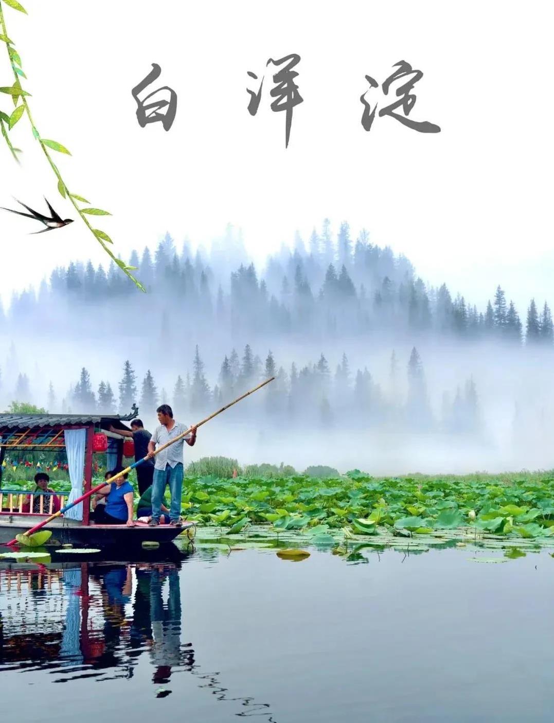 扎胎的终于刑拘了，游客也走光了！白洋淀为自己的狂妄付出代价！白洋淀的现状是：往