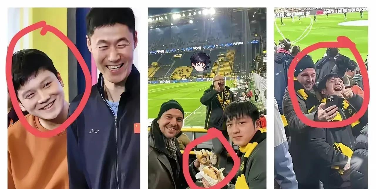 终于搞清楚了！樊振东去德甲！最大的功臣不是刘主席，不是国际兵联而是王励勤和