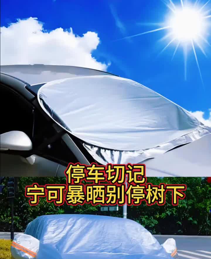 停车切记：宁可暴晒别停树下。暴晒伤车，树下毁车。太阳暴晒会导致车漆褪色、内饰
