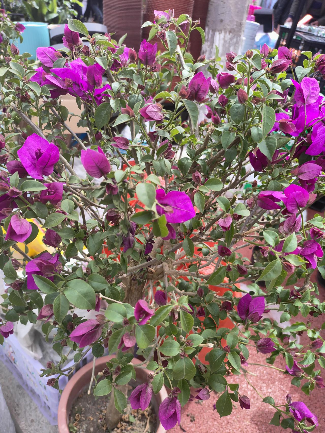 人老了才明白：给子女带娃是情分，倒贴钱带就是真傻人这一辈子，到了退休的年纪