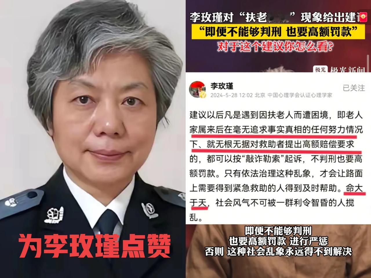2024年，李玫瑾教授抛出个建议，那可是直接在社会舆论里“炸开了锅”！啥建议呢
