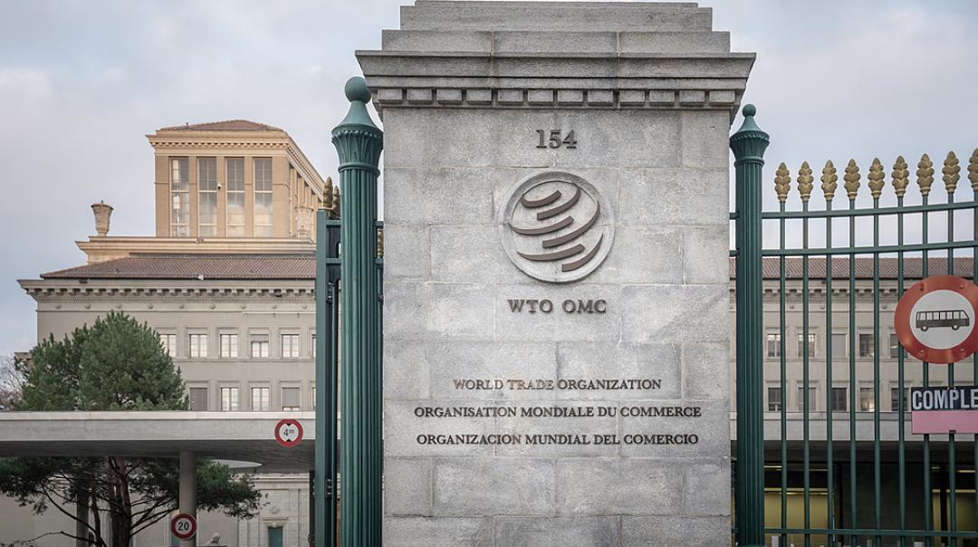 谁不跟谁吃亏！以前是中国求着加入WTO，现在中国给WTO定规则实施28年的W