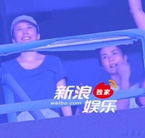 笑死，王菲带着俞飞鸿去看谢霆锋演唱会，俞飞鸿无所谓站得比较前面，果然有人在讨论这