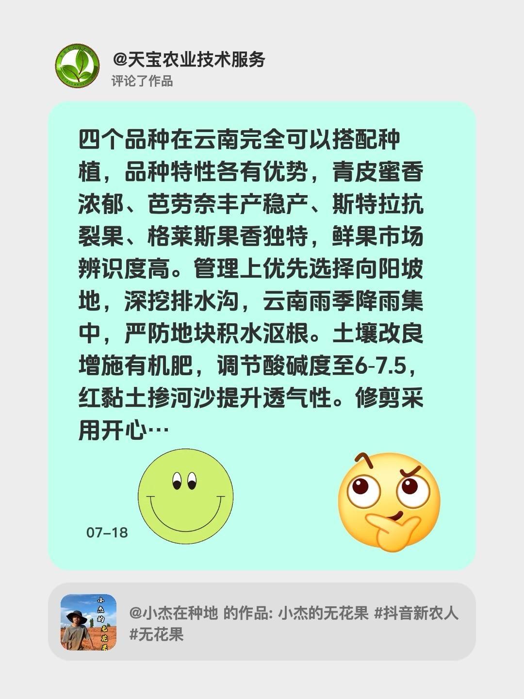 我评论了@小杰在种地的作品：四个品种在云南完全可以搭配种植，品种特性各有优势