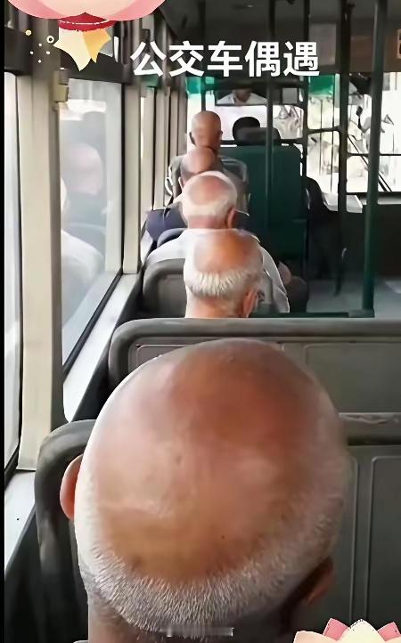 为啥男生到了中年基本都秃头，阿姨们几乎没有这种？