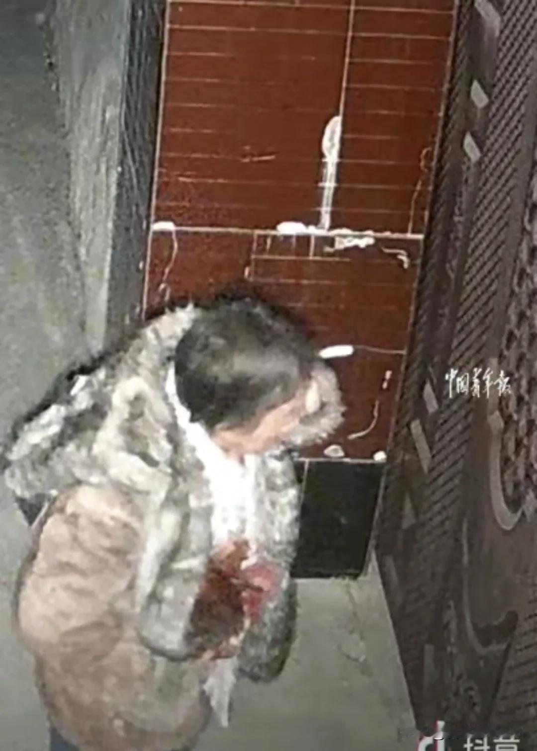 看哭了！河北一男子晚上亲戚请客吃饭，本以为一家人都去了，也没有电话催，谁知饭还没