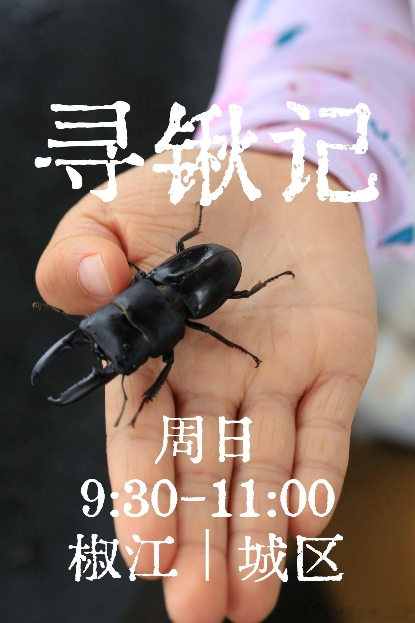 明日寻锹​​​