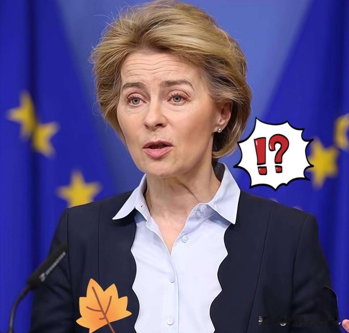 今日消息！欧盟理事会宣布新规！11月14日，欧洲理事会于当地时间11月1