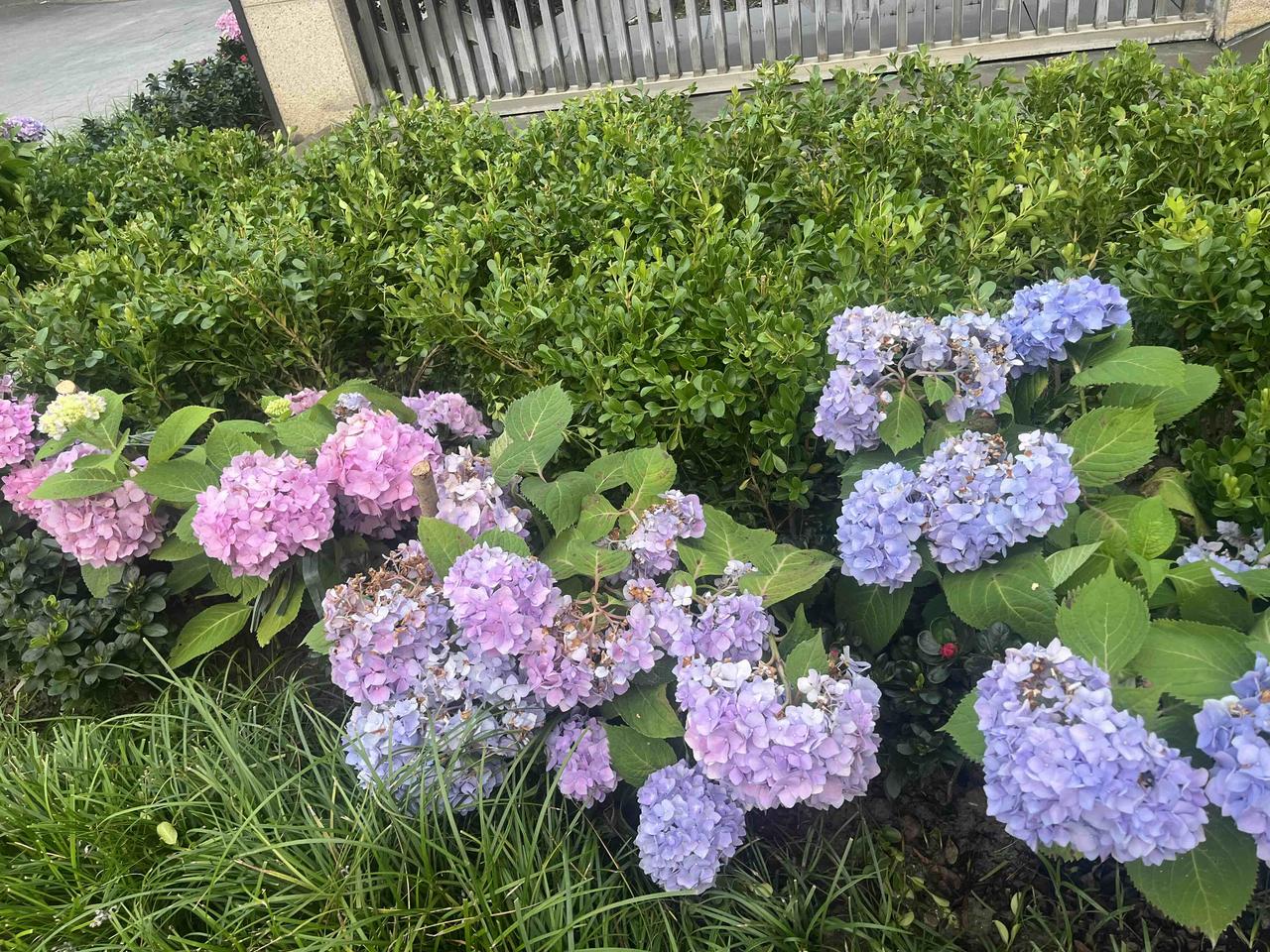 顶级养生，从不是花钱进补，而是戒掉内耗、养好习惯真心劝所有熬夜、疲惫、浑身亚