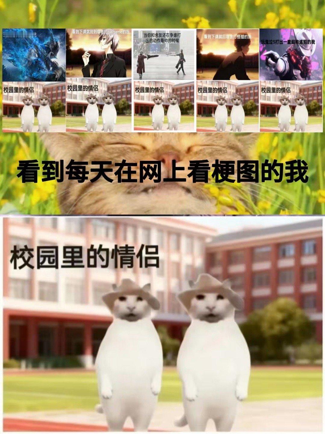 干嘛。。。​​​