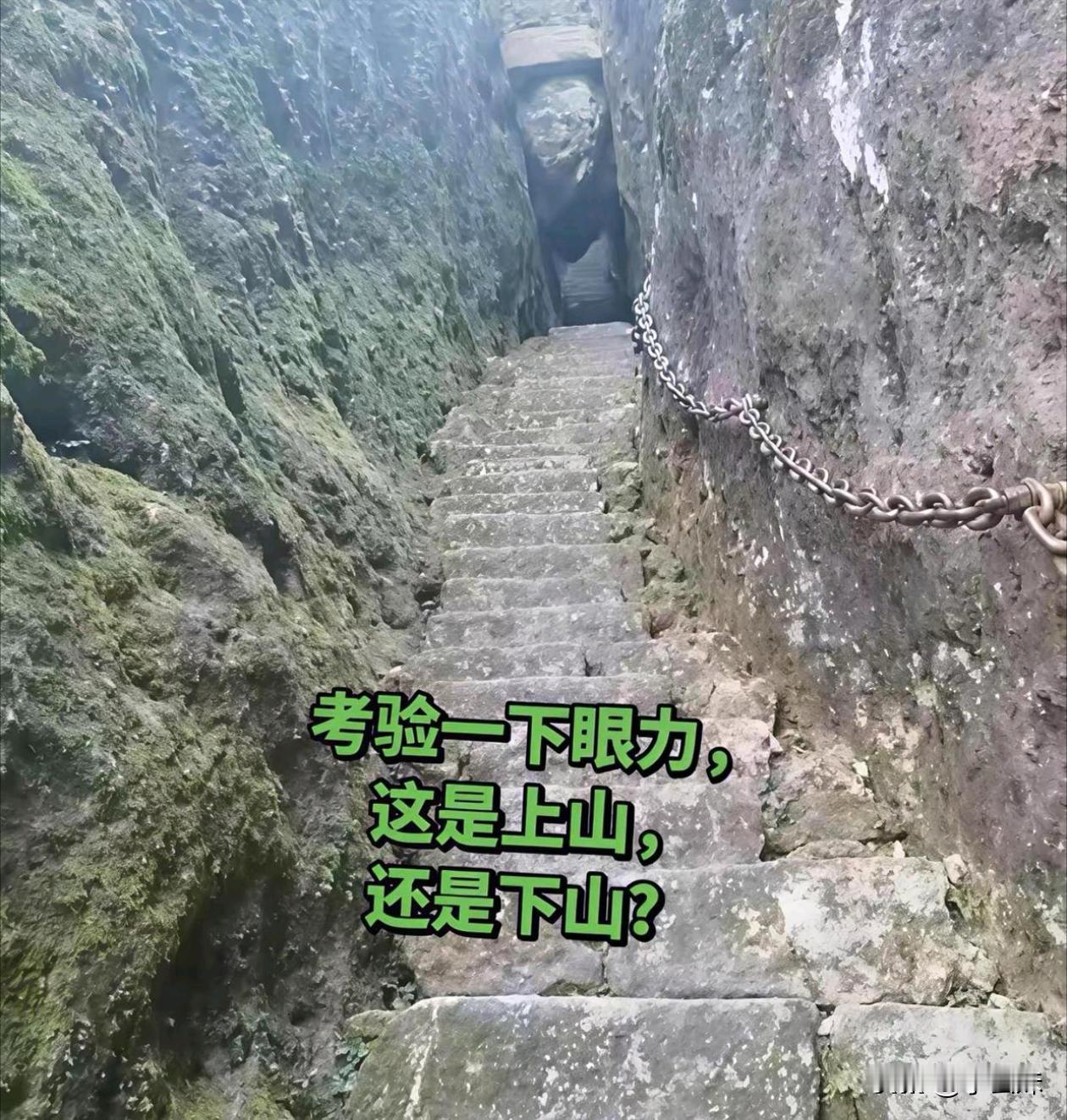 考眼力的时候来了