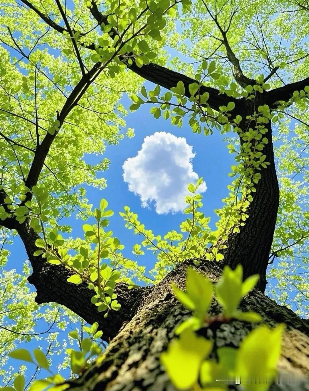 体制内领导被纪委抓了以后，一般都是倒一个，就会牵出来一串人。因为很多人都抗不过