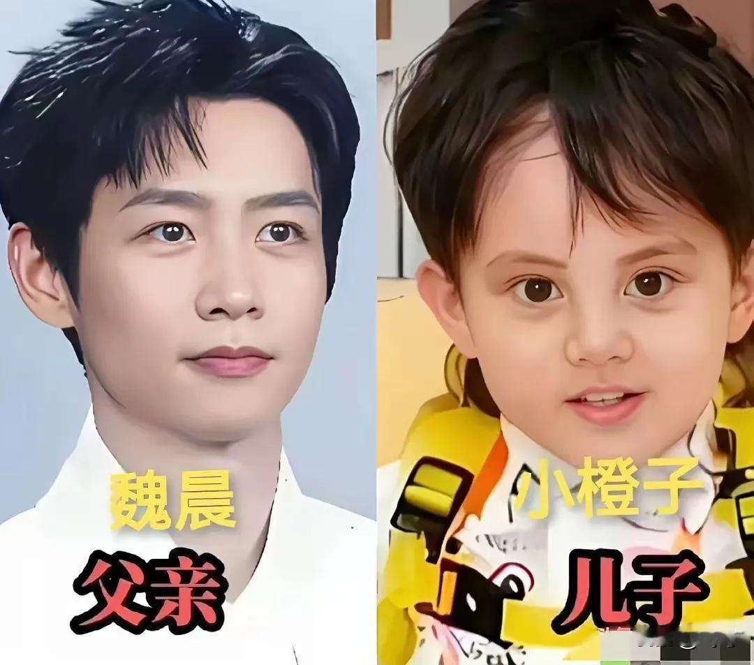 郭京飞父子俩——基因太强大董子健父女俩——基因太强大赵文卓父女俩——基因太强