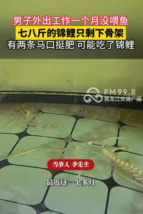 无妄之灾！7月5日荔枝新闻报道，山东临沂，一位男子外出出差一个月回家，猛然看见家
