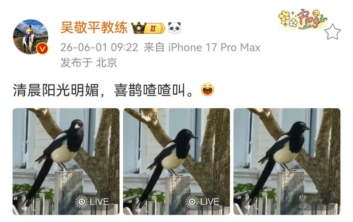 樊振东夺冠🏆—吴敬平教练发文：清晨阳光明媚，喜鹊喳喳叫！吴敬平教练很开心，