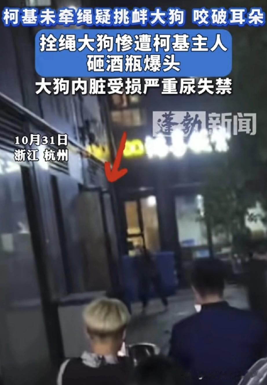 街边，一名男子接连用空啤酒瓶猛砸马犬头部，瓶瓶命中，马犬惨叫连连，这一幕引得路人