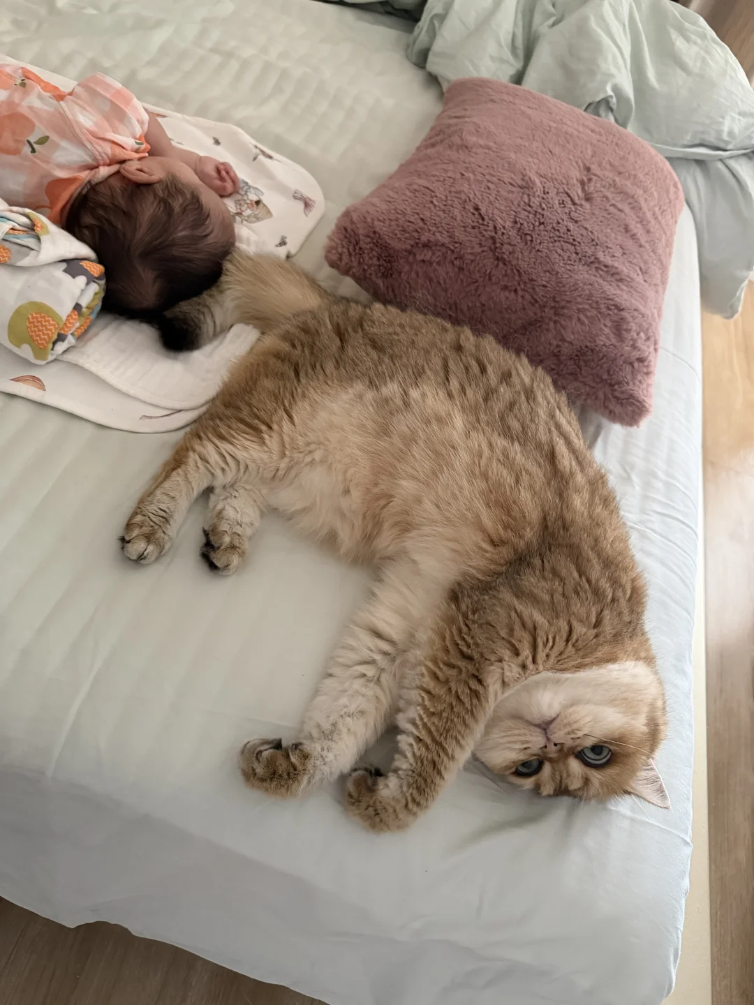 我倒～