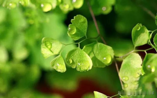 做老师最头疼的是家长不配合老师，彻底把孩子放弃。班上有个叫小乐（化名）的孩子