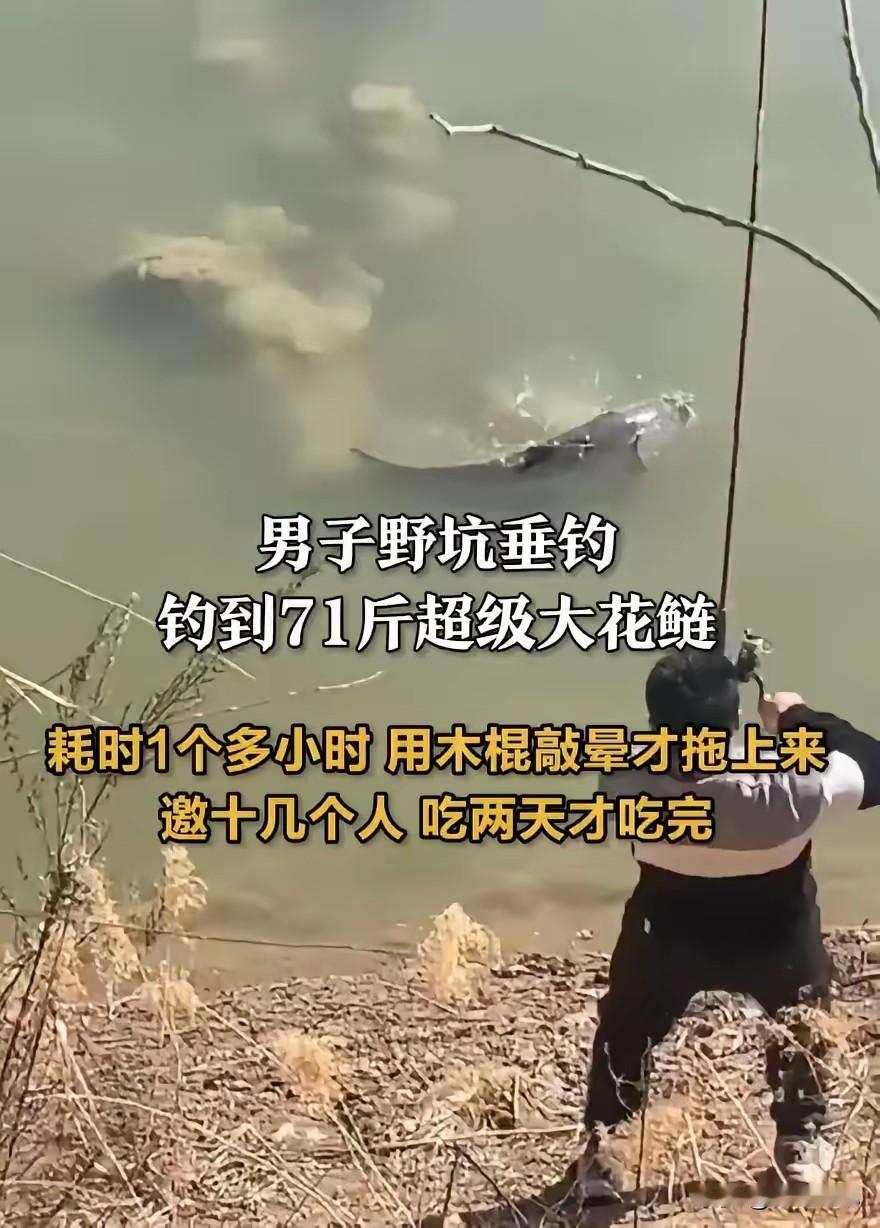 这能吹一辈子！河北邢台，一男子在野坑钓鱼，起竿时以为挂底了，没想到水下传来巨大的