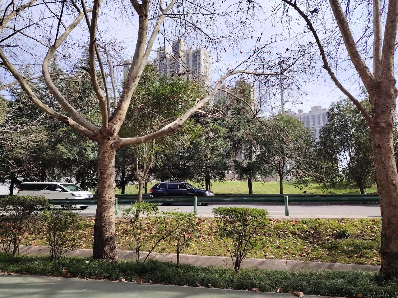 校长代课谁说校长不代课？课表上有校长课。课表有课实无课，有课也不去上课。