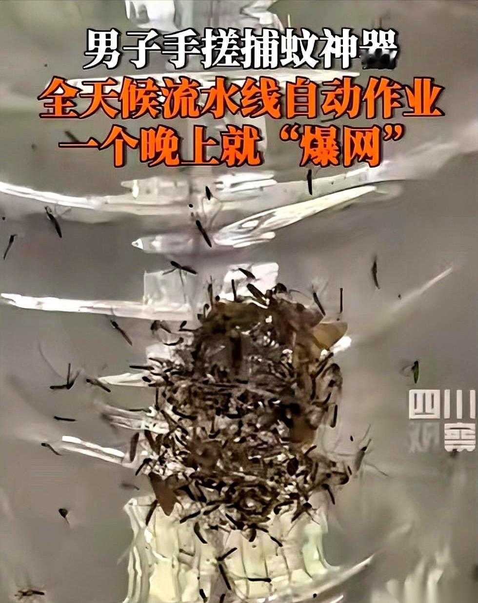 清晨五点，福建漳州的老林一把掀开塑料桶盖，端着盖子的两根手指猛地哆嗦了一下。水