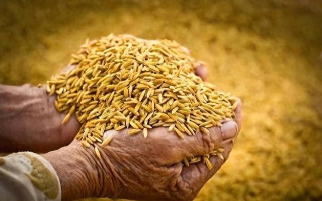 五大常任理事国的粮食自给率情况如下：第一，法国的粮食自给率高达329%。第二，俄