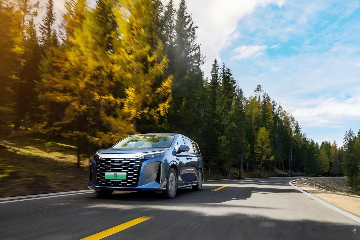 19.68万起！比亚迪2026款夏，家庭MPV闭眼冲比亚迪2026款夏完美符合我