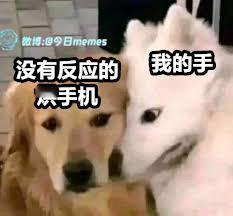 感知我！（9gag）今日meme今日memes​​​