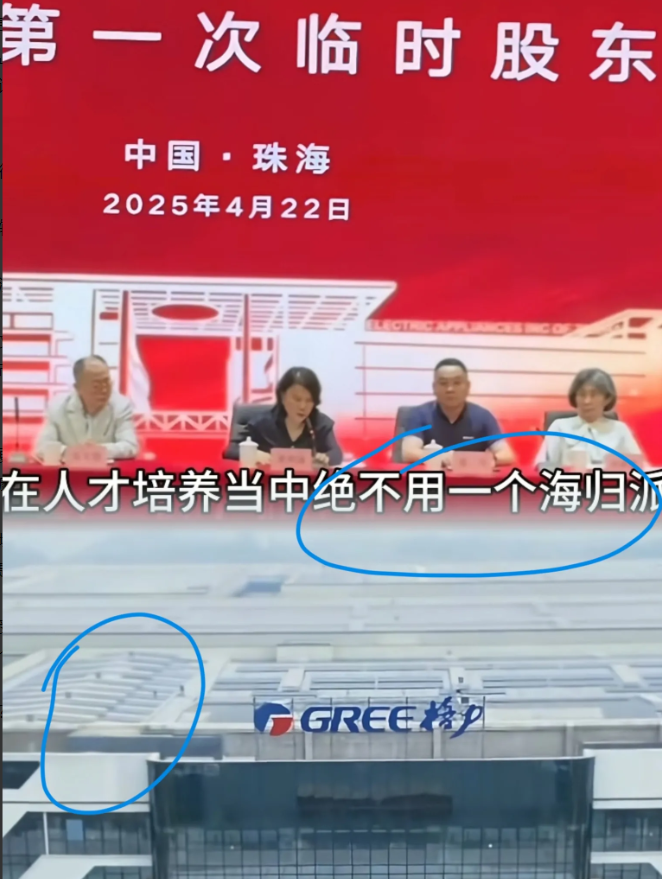 董明珠发声为国家省下巨额外汇，捅破留学市场这层窗户纸：每年出去留学的学生很多