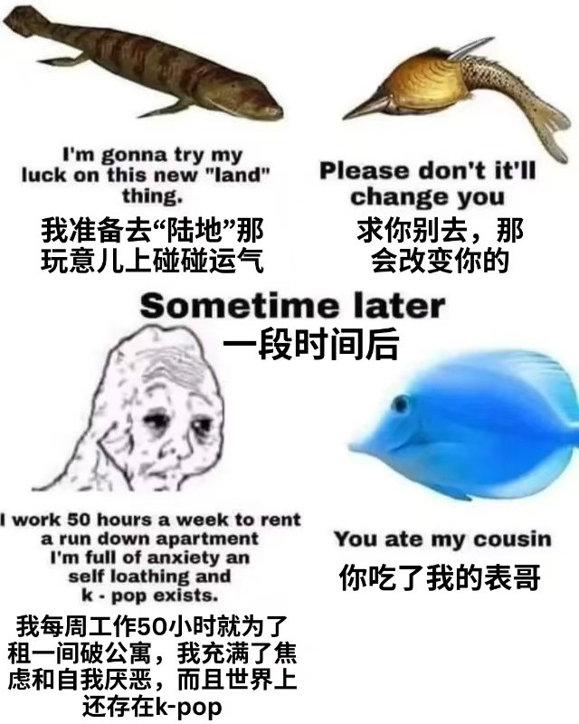 变化够大的​​​