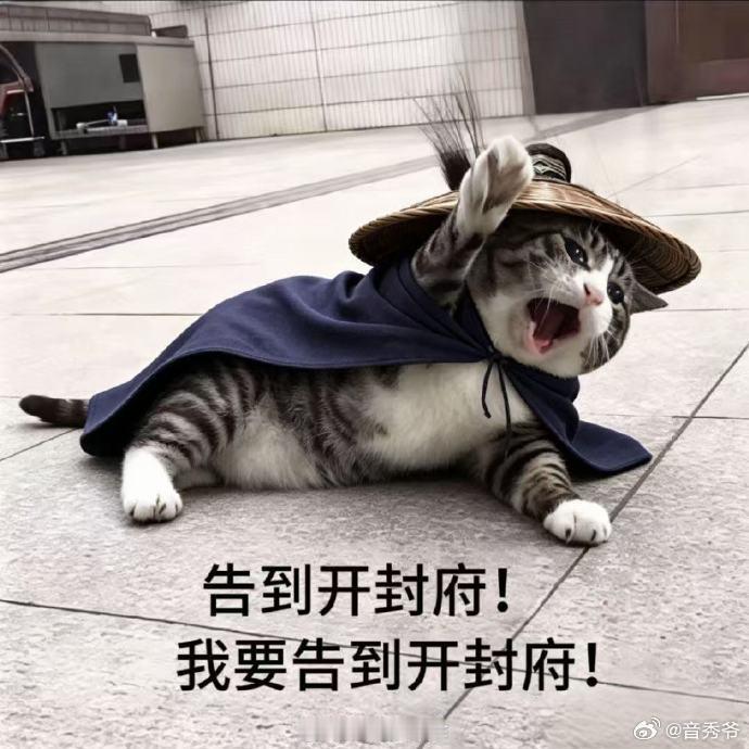 新浪娱乐也给杨洋赔笑了不愧是我们大宋第一顶流展昭！新浪娱乐都得赔笑脸，这排面直接
