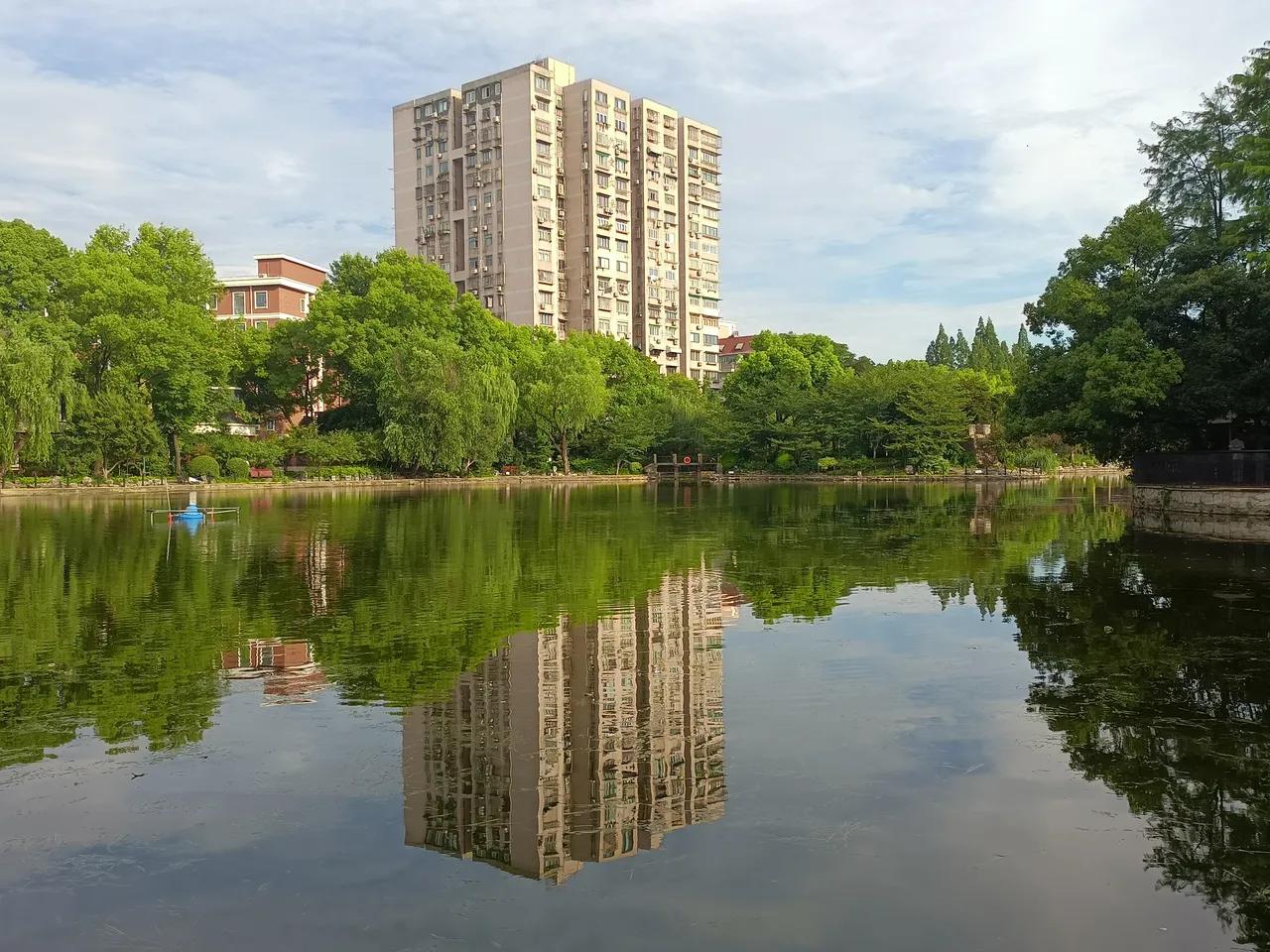公园美丽景随拍