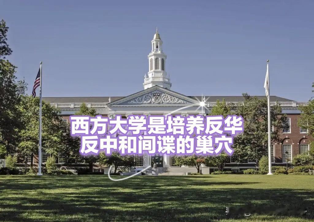 去国外留学能学到什么？去国外留学科学知识什么的丁点学不到。除了花钱买个西方白