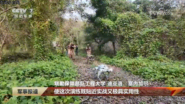 炯炯有神的卡姿兰大眼睛，扛两个筒子的机器狗