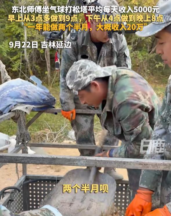 “太会赚钱了!”一位大哥在吉林打松塔，2个半月里挣了20多万，平均日入5000