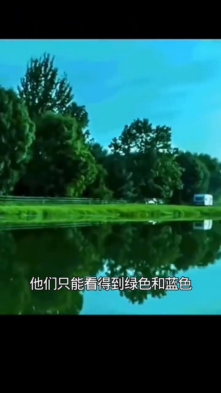 牛眼中的世界。·牛看到的世界是什么样的？牛看到的世界是这样的，它们只能看得到绿