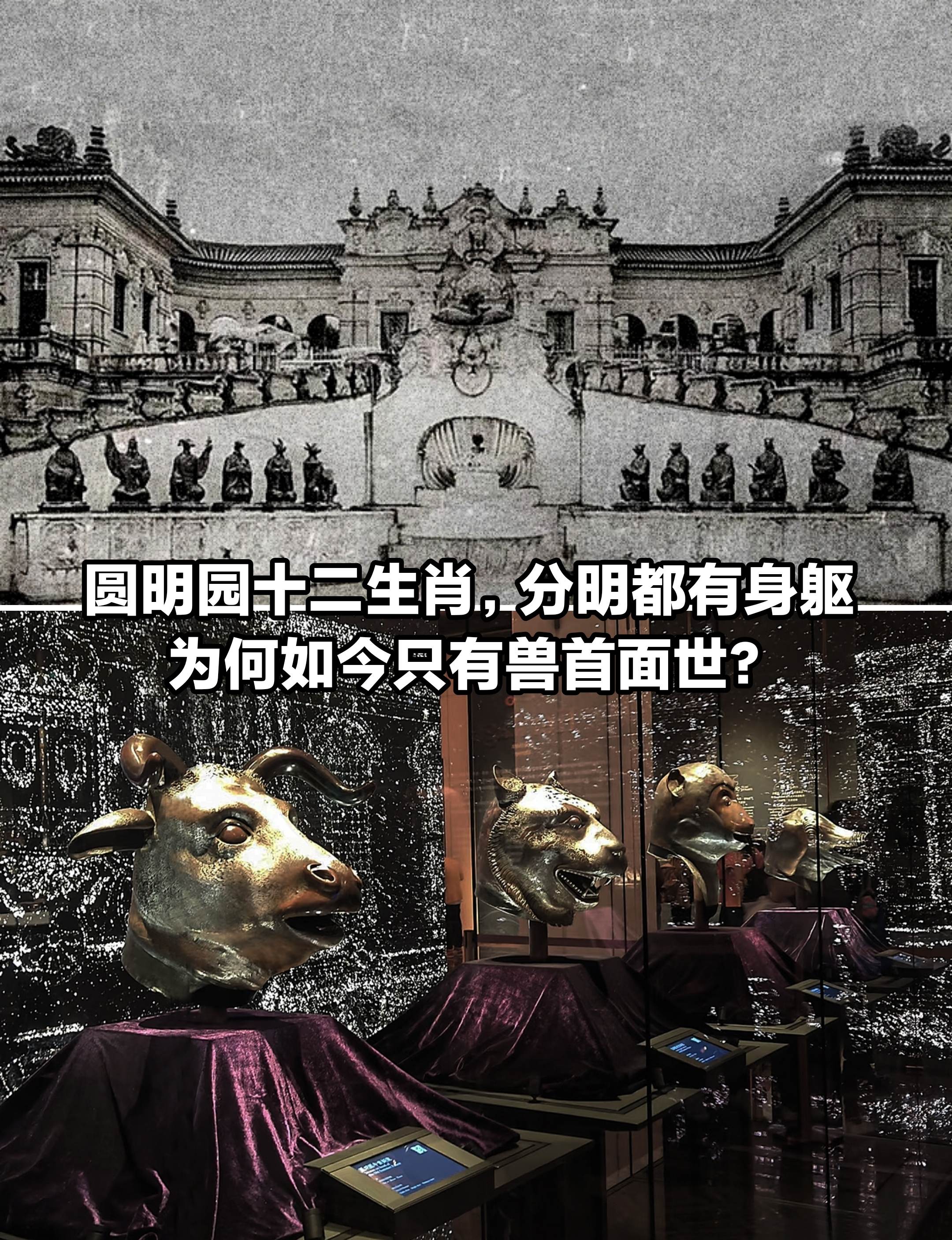 圆明园十二生肖的身子去哪里了？