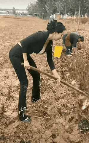 这颜值在村里，应该是天花板了吧？