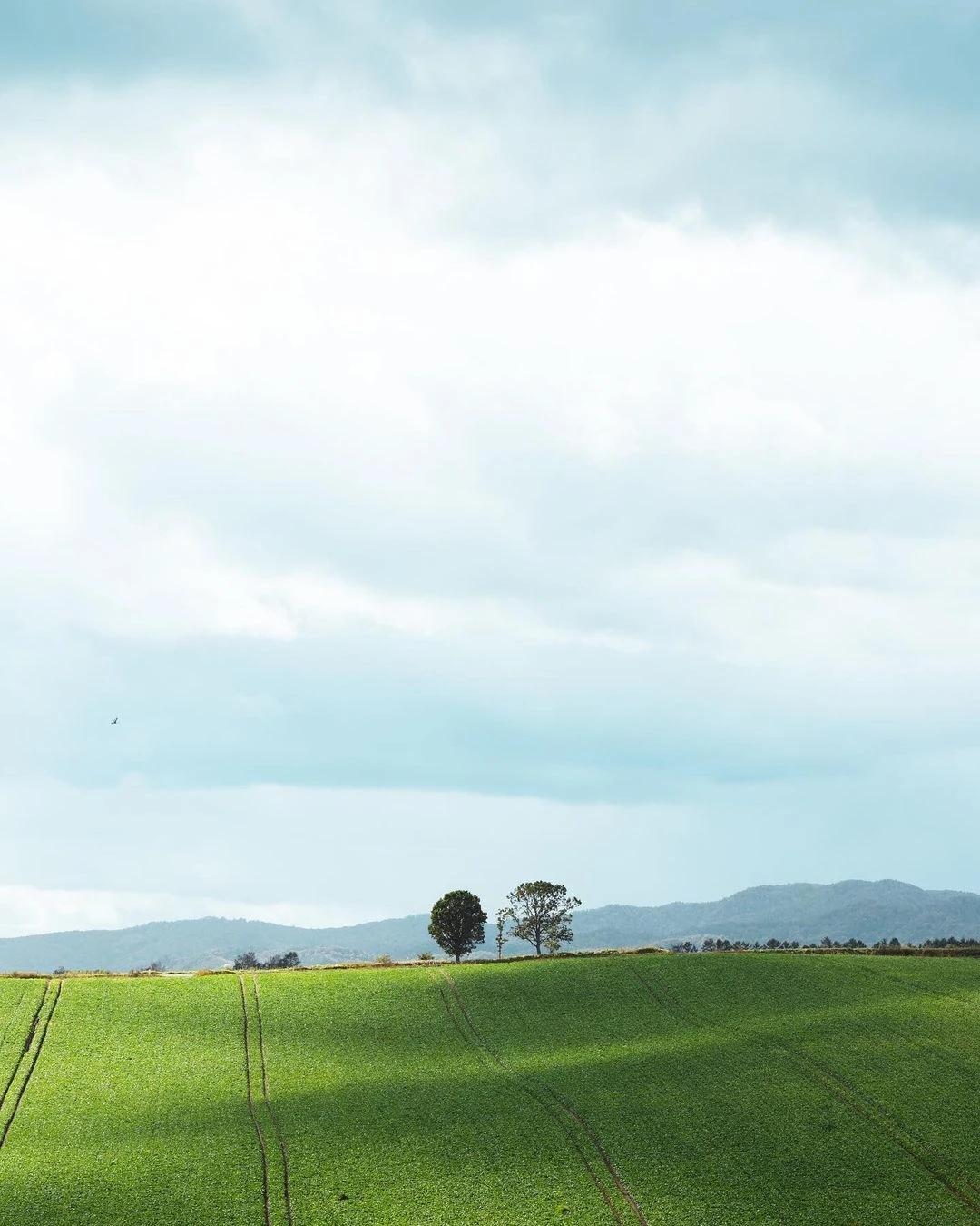 今天一位初三的学生家长联系我，孩子的数学成绩不行，基本上都是在80~90之间