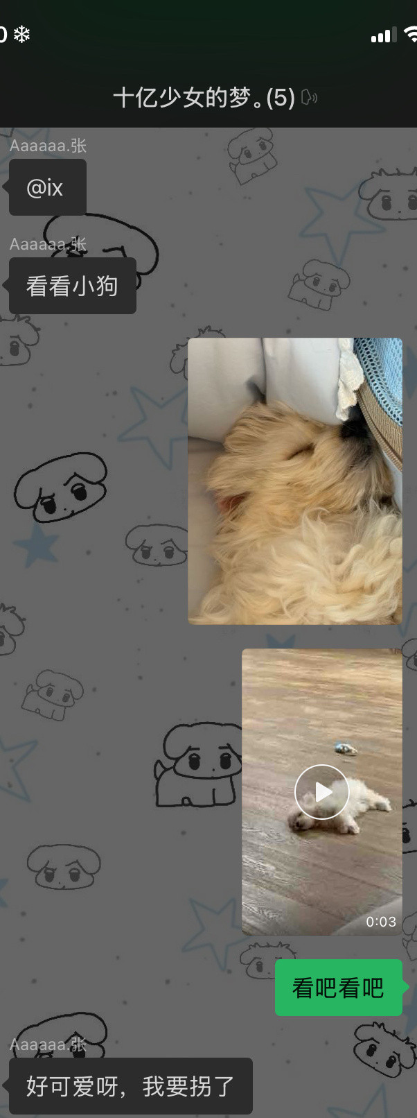 朋友以为我真的养狗了。。
