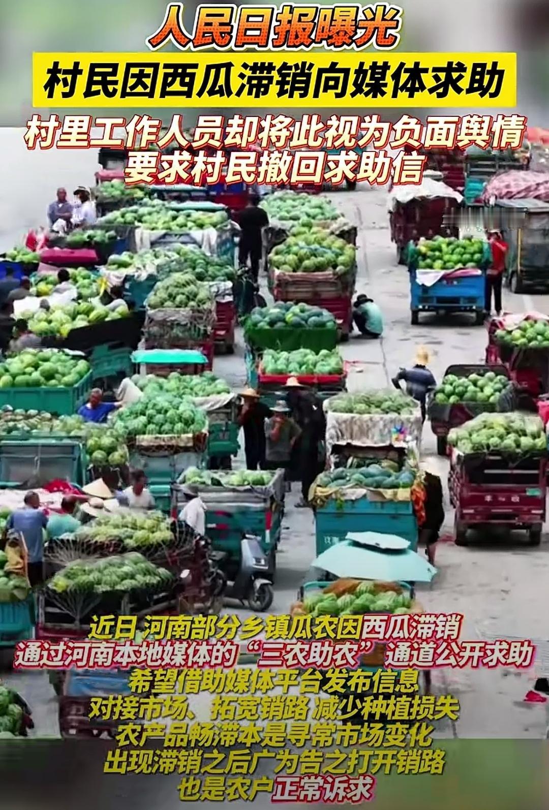 万斤西瓜即将烂在地，农户求助却被要求删除信息！近日，河南一地瓜农种植的西瓜大面