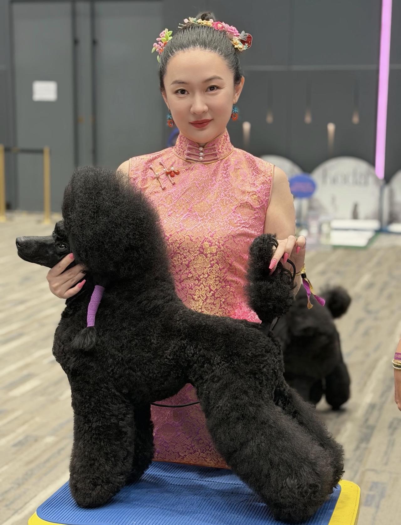 近日，霍思燕带着爱犬“霍蜜蜡”，参加泰国公主青年赛场。11个月大的幼犬龄“霍