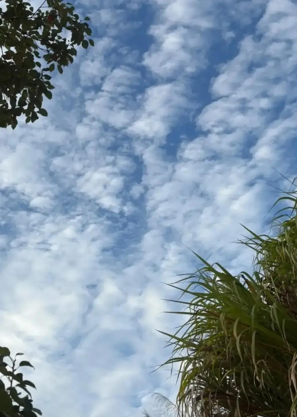 刷到个帖子说单位里没职务的中年人得绕着领导红人走，别得罪也别跪舔，底下一堆人喊真