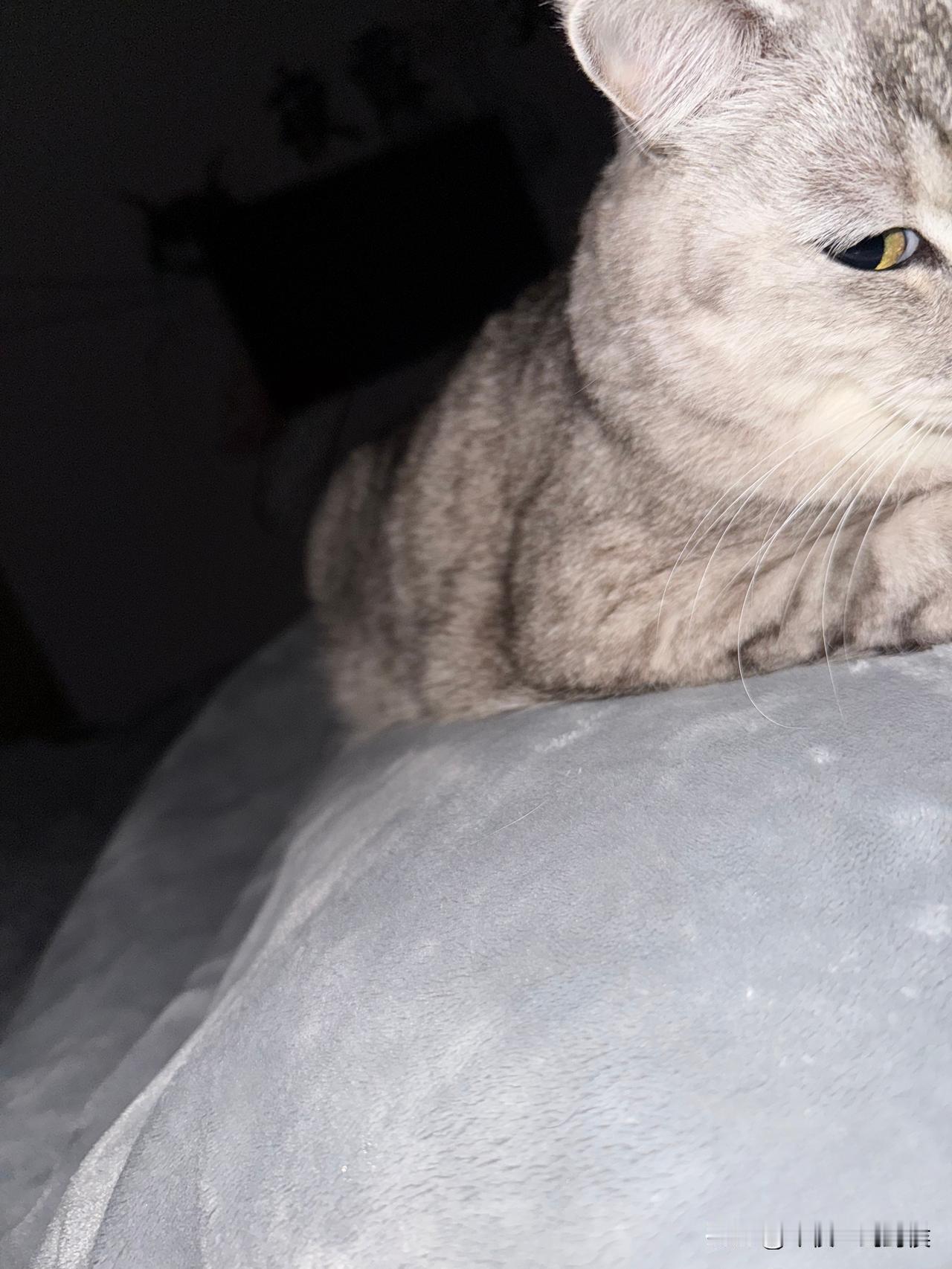 最近总是半夜喘不上气，以为是鬼压床。小时候遇到过很多次，会浑身僵硬，怎么动都起