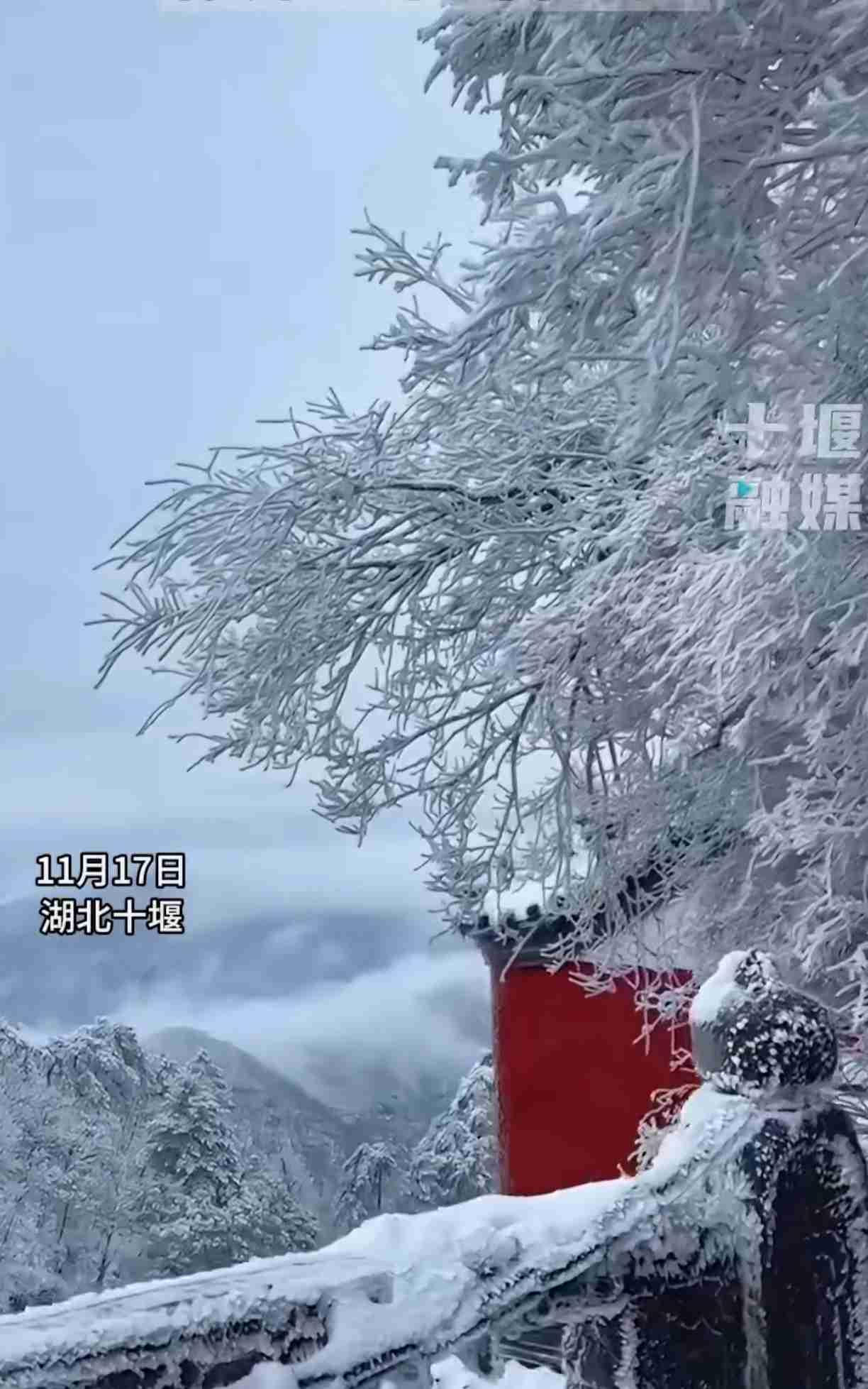 今天的湖北十堰武当山，突降大雪！白茫茫一片，犹如人间仙境！这美景一年能得