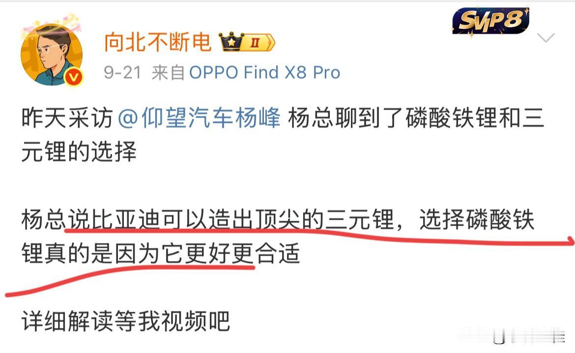 仰望高管：“比亚迪可以造出顶尖的三元锂电池，选择磷酸铁锂真的只是因为它更好更适合